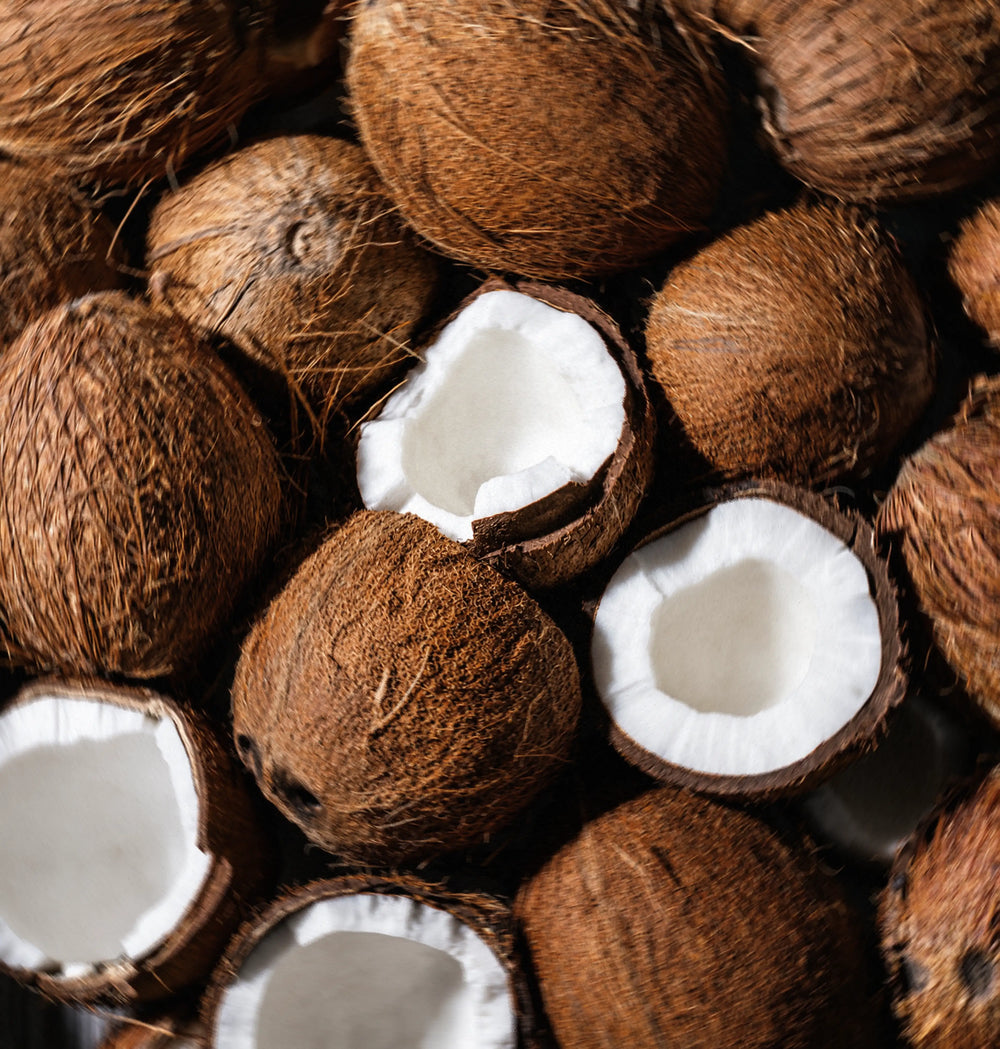 Organic Coconut MCT Powder