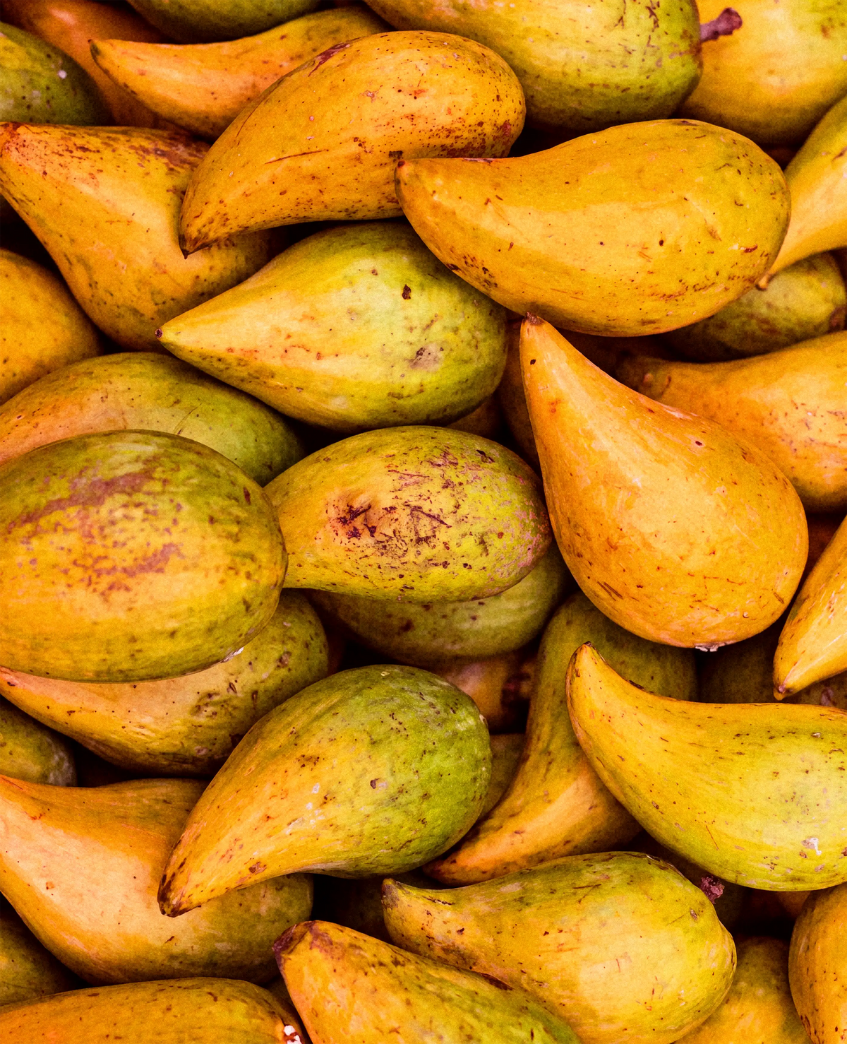 Organic Lucuma Fruit