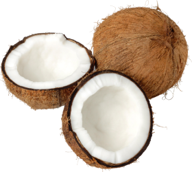 Organic Coconut MCT Powder