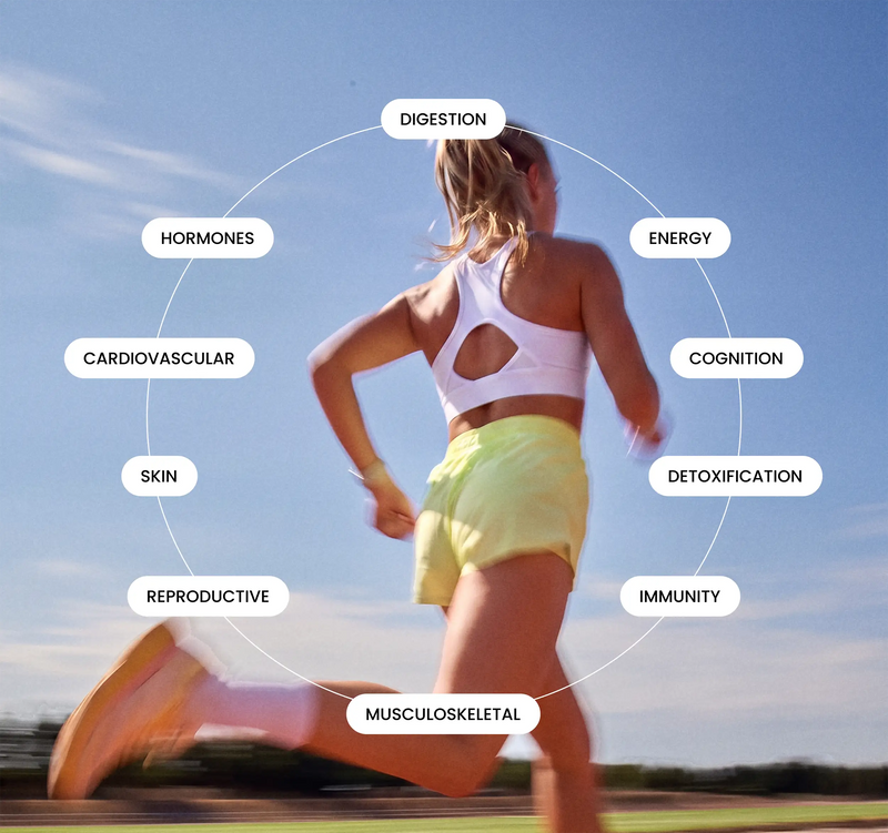 <p>Your body isn’t just<br/>a collection of individual parts</p>