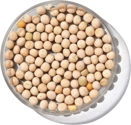 Organic Pea Protein