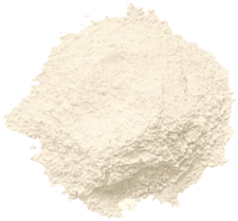 Probiotics (Bacillus coagulans)